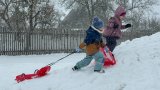Padá padá sníh, pojedeme na saních