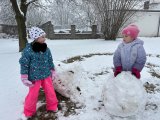 Sníh se sype, lepí se, sněhuláci staví se :--)